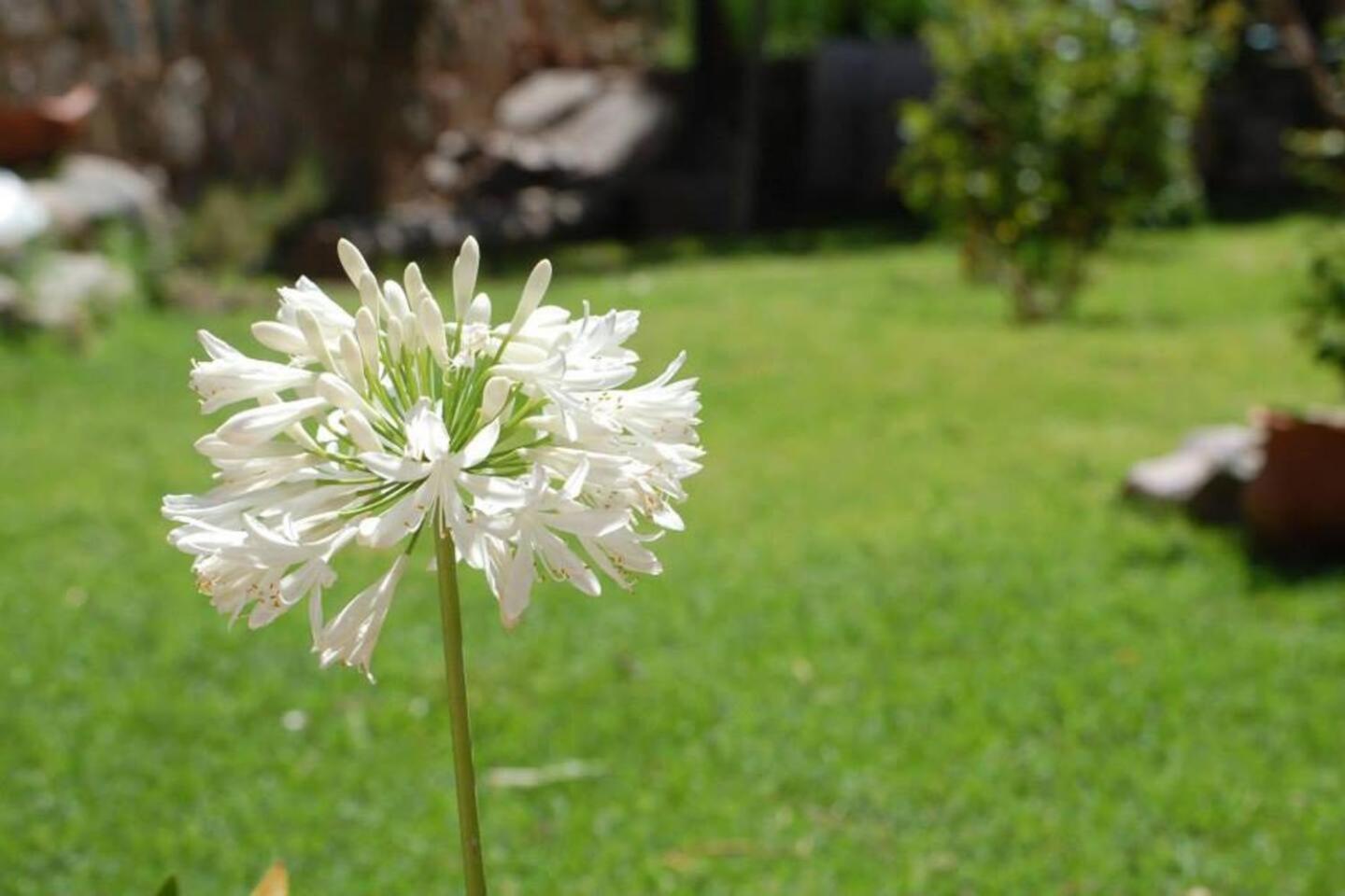 El Ensueno Villa Tilcara Buitenkant foto